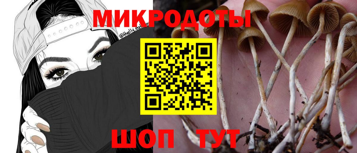 Псилоцибиновые грибы Magic Shrooms  Вход с VPN  Кушва 